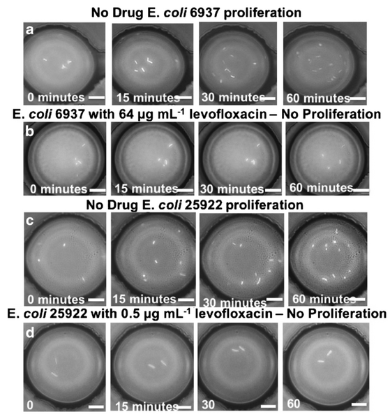 File:Wiki Page Figure 3.png