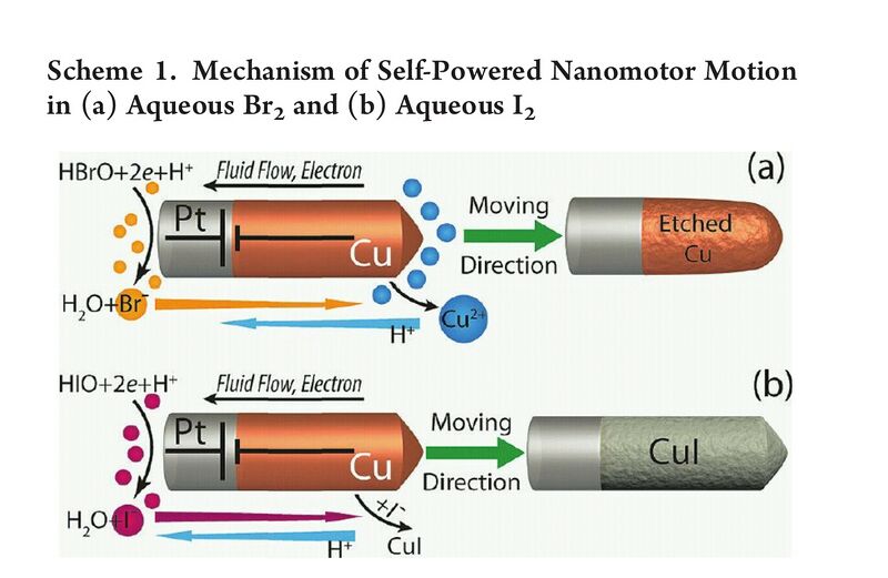 File:2015-07-06 12.21.25.jpg