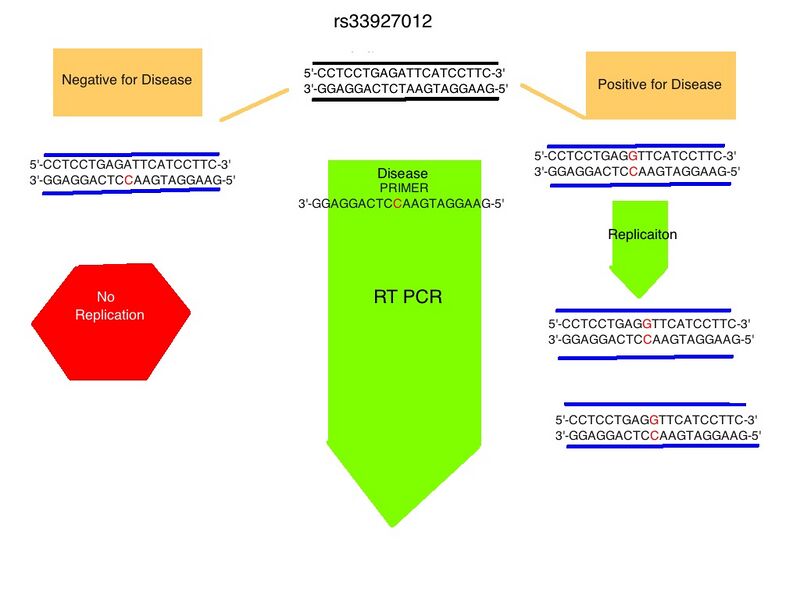 File:BME 103 Lab 2.jpg