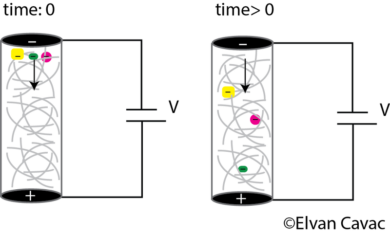 File:Capillary gel electrophoresis.png