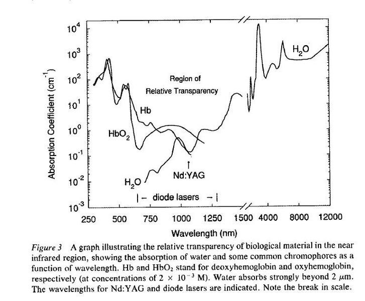 File:Hemoglobin absorption.JPG