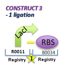File:II09 ConstM1aa.jpg