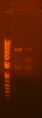 Thumbnail for version as of 00:17, 21 July 2010