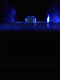 Name: Negative Control