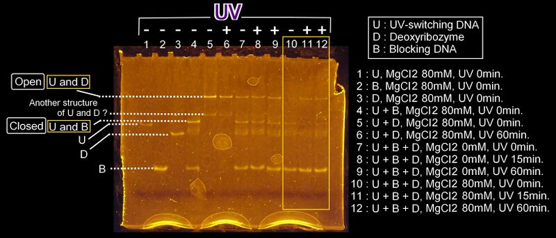 File:Tokyo UV-gel.jpg