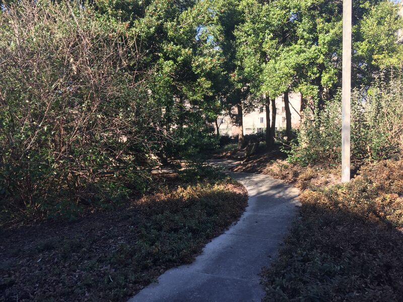 File:BriannaBelo Transect3Picture1.png