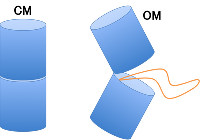 Fig. CM OM