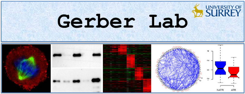 File:Gerber Lab banner.PNG