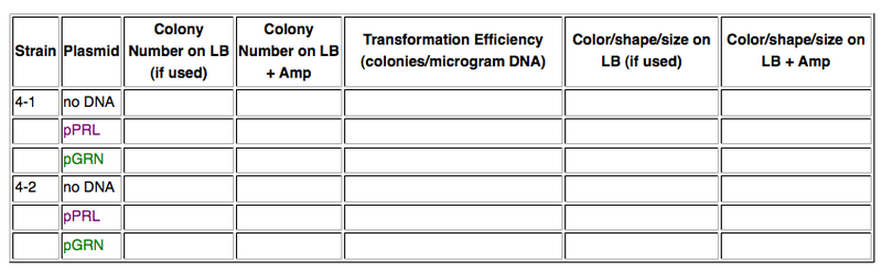 File:Lab4 DataTable.png