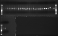 Thumbnail for version as of 21:51, 7 May 2012