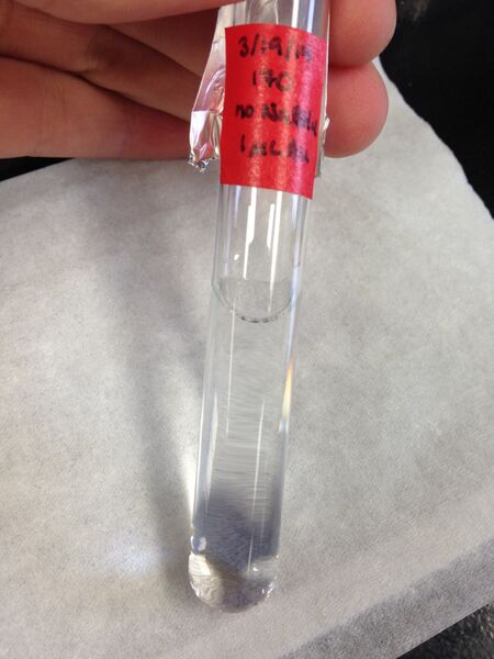 File:170, 1uL Au.jpg