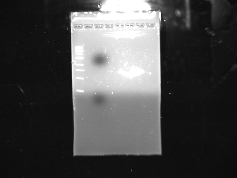 File:BBa B0015 E-X 25-JUNE-2012..Tif