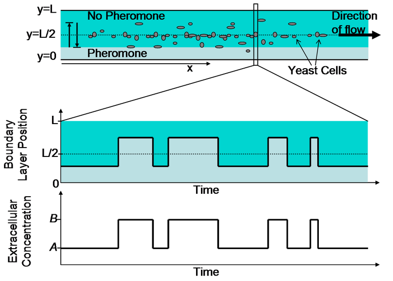 File:Changing boundary layer.png