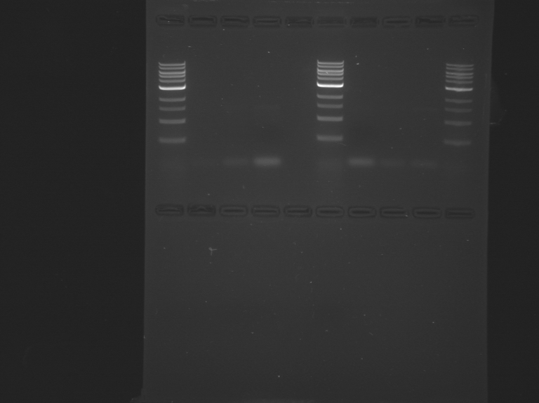 File:S15-M1D4 TR-Orange-Green.jpg