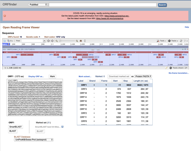 File:Week 13 ORF.png